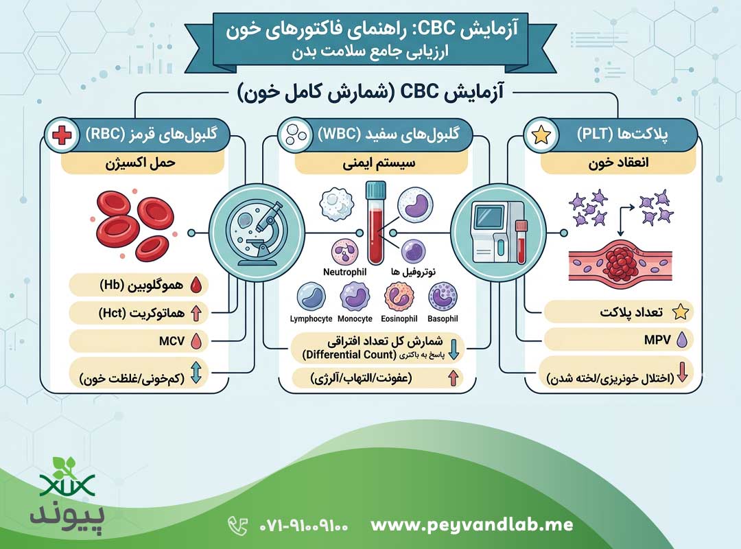 آزمایش CBC در شیراز؛ تفسیر جواب CBC و CBC Diff