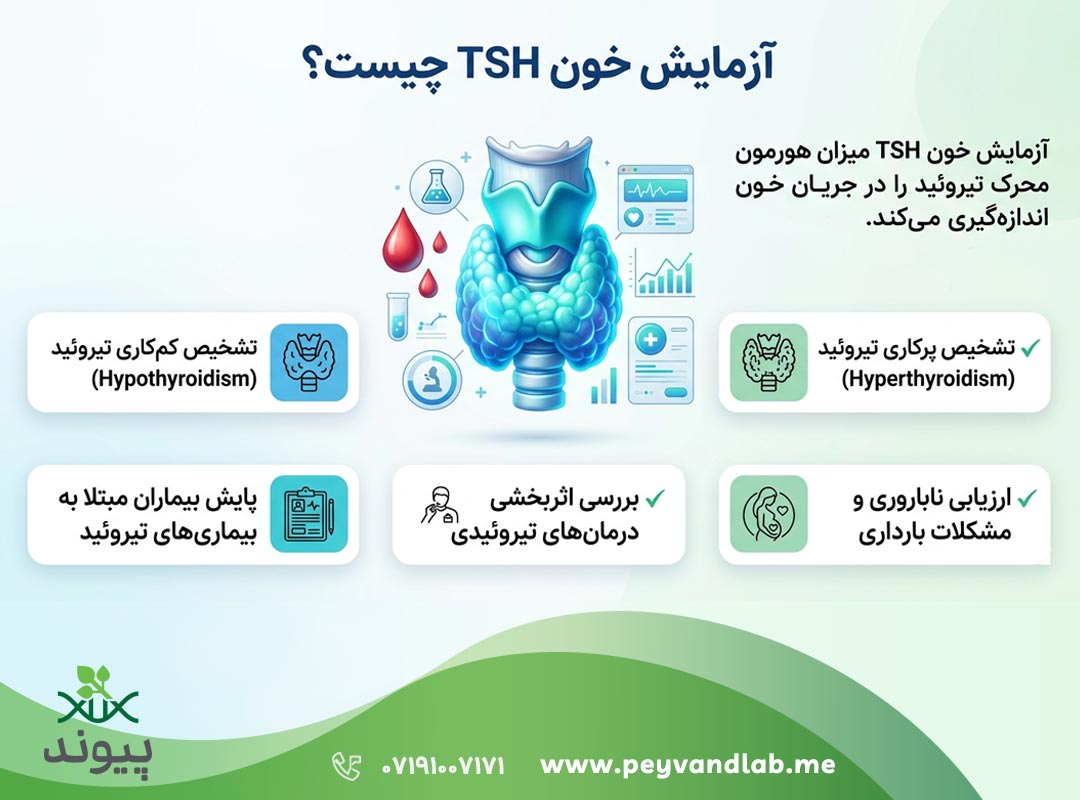 آزمایش TSH | راهنمای کامل تفسیر نتایج، علائم و محدوده طبیعی تیروئید