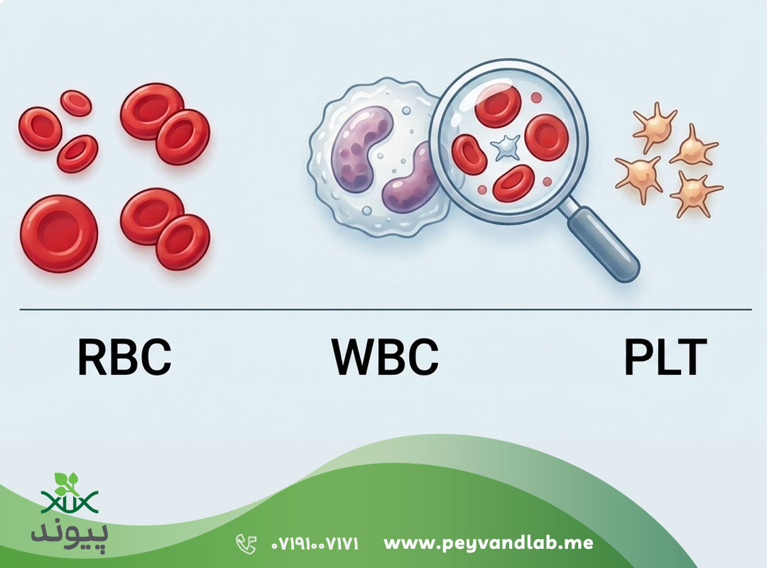 آزمایش cbc