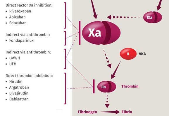 Anti Factor-Xa activity