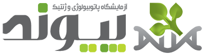 لوگو 02 آزمايشگاه پاتوبيولوژی پيوند
